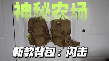 对比评测：神秘农场 闪击 30 vs 35 Mystery Ranch Blitz Backpack 背包 登山包 旅行包 日用包 电脑包