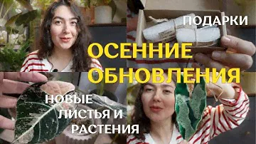 РАСТЕНИЕ, которое я ТАК ДОЛГО ждала | ПОДАРКИ бустеров | ноябрьский ОБЗОР новых листьев и ЦВЕТЕНИЯ 🌿