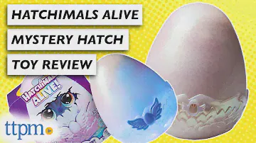 Hatchimals Are Back!!