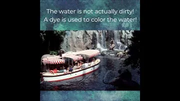 MB Jungle Cruise Video