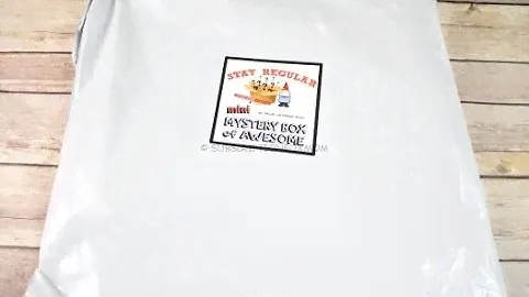 Stay Regular Mini Monthly Mystery Box February 2017  Unboxing – Only $10