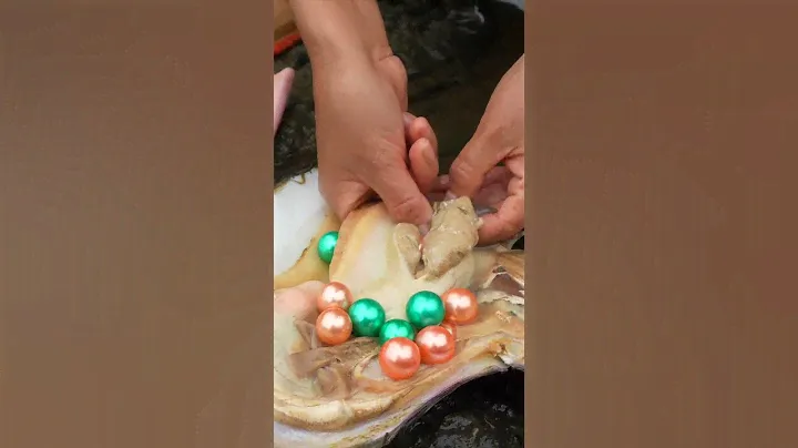 The mystery of jewelry is revealed in the clams🎁