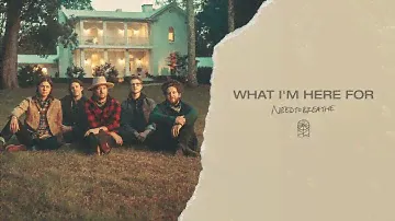 NEEDTOBREATHE - "What I'm Here For" [Official Audio]