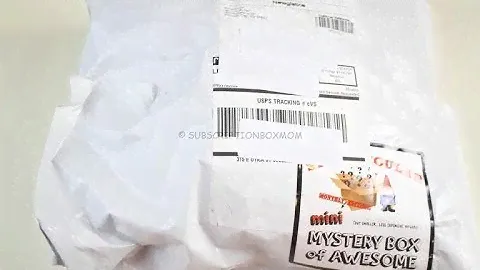 Stay Regular Mini Monthly Mystery Box March 2018 Unboxing – Only $10 #mystery