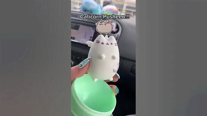 pusheen mystery suprise!