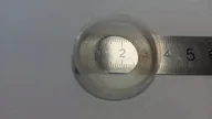 239.62       MYSTERY MGM 2000