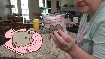 Pusheen Mystery Plush Clip Blind Bags! 😻