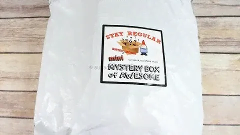 Stay Regular Mini Monthly Mystery Box October 2017 Unboxing– Only $10