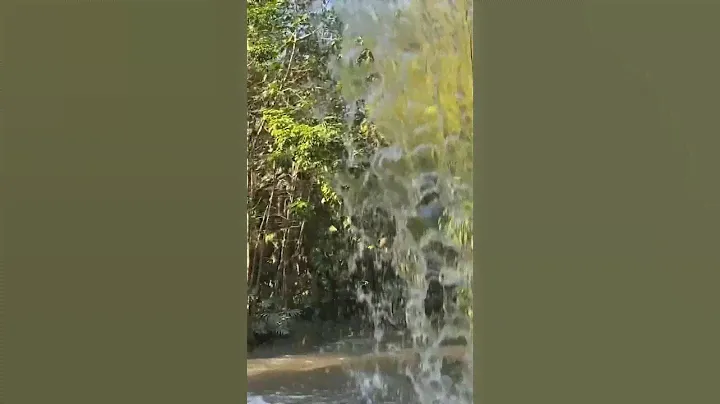 The Back Side of Water! Jungle Cruise in Magic Kingdom Disney World
